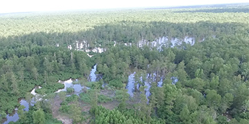 Women in Science: Guiding the Future of the Atchafalaya